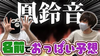 【男の本気】俺達知らない女性キャラでも名前だけで胸の大きさが分かります！！！