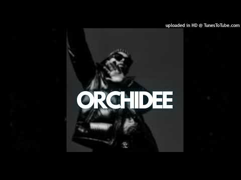 [FREE] Hamza x Zamdane x J9ueve Type Beat - "ORCHIDEE" | Instru Afro Love 2023