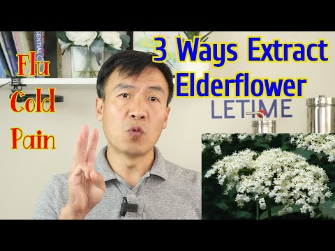 Elderflower Benefits and Uses. Elderflower Tea Tincture and Hydrosol. Differences and How to Extract