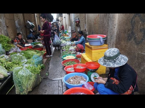 Walk Around Street Market @Tuol Sangke - Plenty Fresh Fruit, Vegetable, Natural Food & More Food