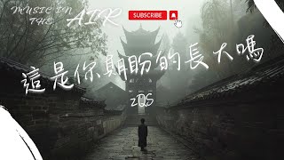 Download lagu ZQS - 這是你期盼的長大嗎『一眼望盡的胡同聽慣習以為常的步履匆匆』【動態歌詞】 mp3