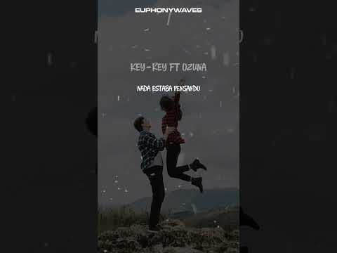 Key-key ft. Ozuna - TENGO UN PLAN REMIX (Letra/Lyrics)