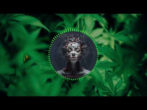 Hardwell & KAAZE Vs. Armin Van Buuren Ft. Anne Gudrun - We Are Legends Vs. Love Is A Drug (Mashup)