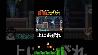 【目隠しマリオ】指示しながら叫ぶなｗｗｗｗｗｗ