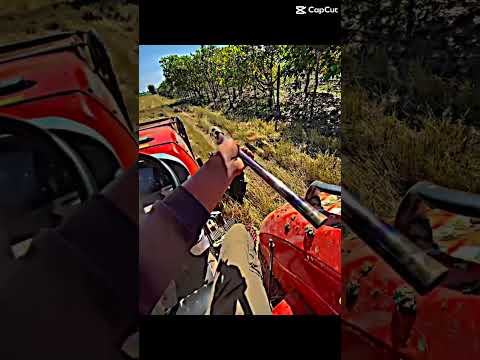 #អេមណាស់មេៗ #truck #automobile #ឡានល្បីក្នុងtiktok #subscribe #รถพ่วง #trucking #funny #รถบรรทุก