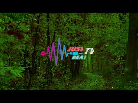 INNA x Vinka - Bebe [WellZ Remix]