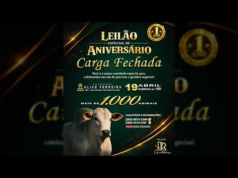 Leilão de Gado  -  ESPECIAL CARGA FECHADA - RR Leilões