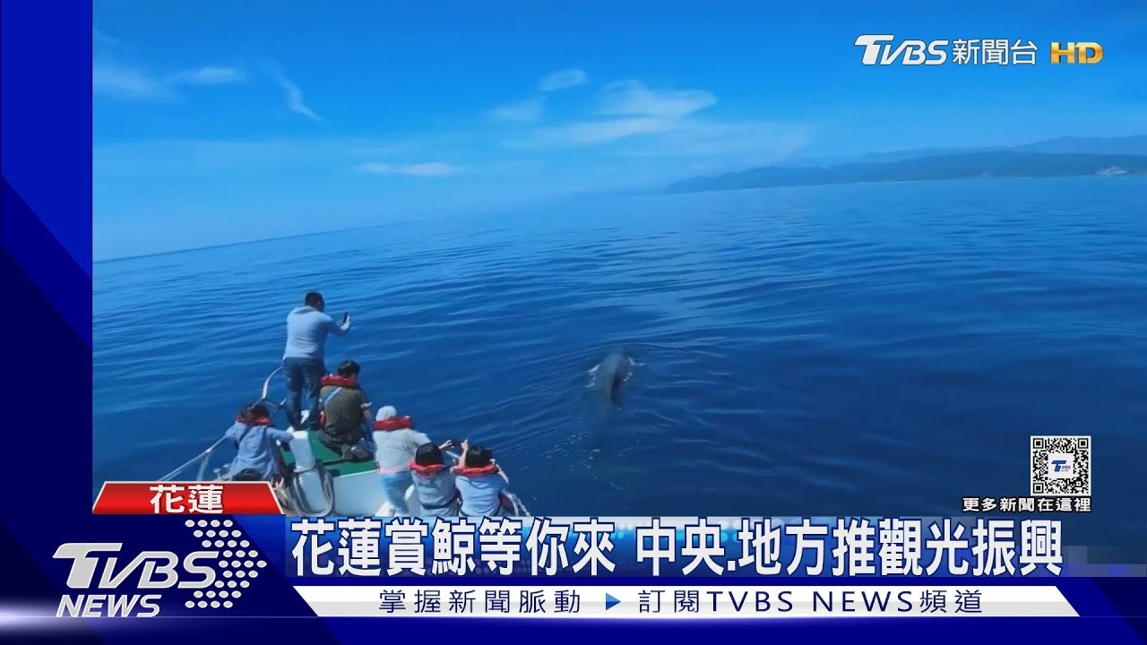 花蓮賞鯨等你來 中央、地方推觀光振興