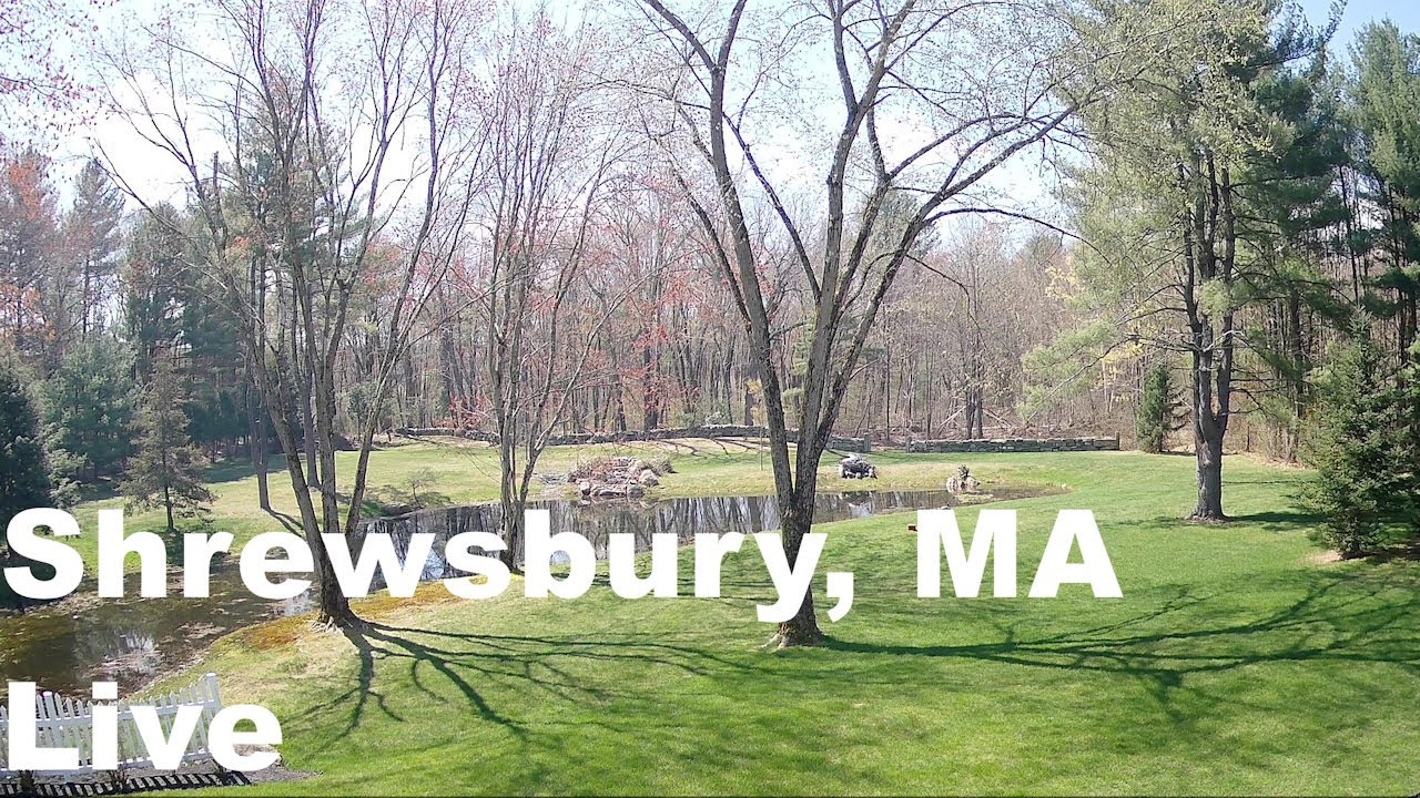 Live webcam view of Scenic Pond and Trees