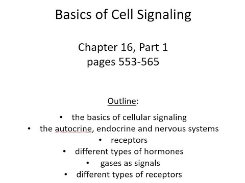 Lecture 18 Basics of Cell Signaling Ch 16 Pt 1
