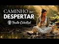 Caminho do Despertar — A Jornada de Quem Escolhe Ouvir a Alma