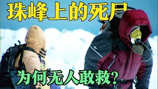珠穆朗玛峰上的尸体！为何无人敢救？背后残忍的真相曝光！
