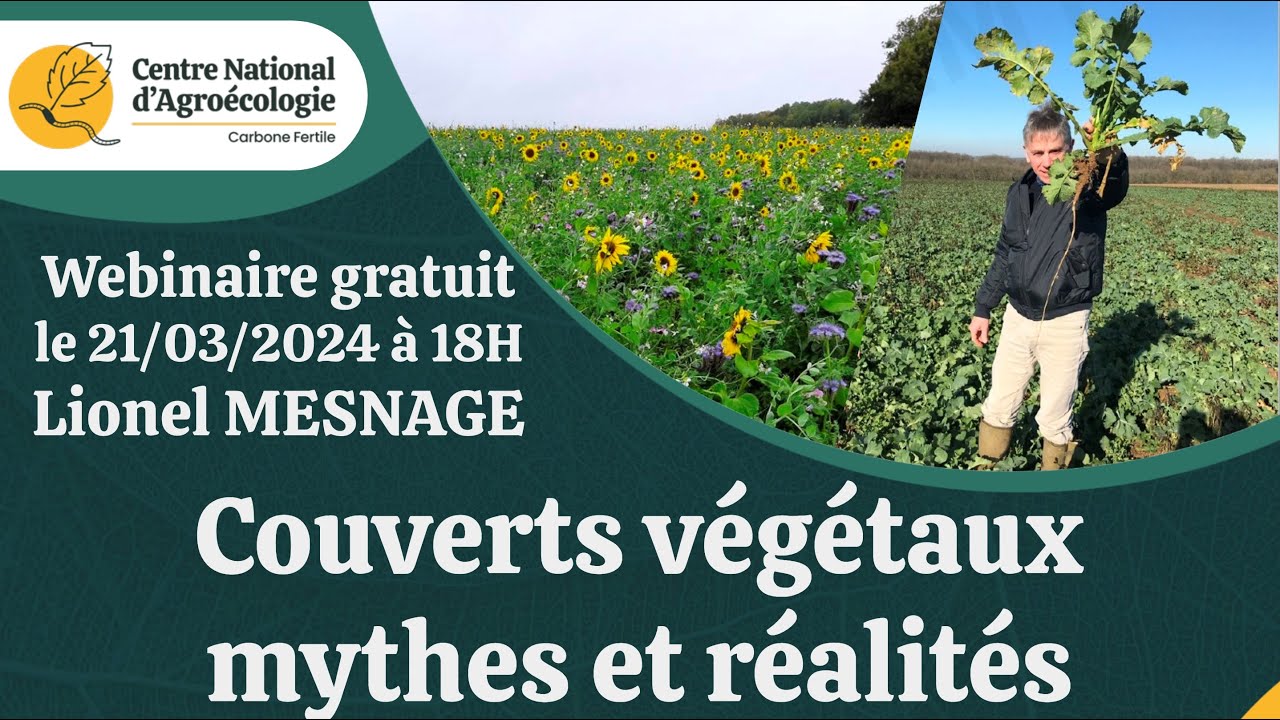 Couverts végétaux : mythes et réalités, Lionel Mesnage - CNA