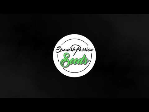 Químico ultra mega demasiado yagala fuera de liga