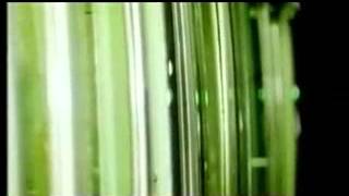 MARK'OH vs  JOHN DAVIES   The Sparrows And The Nightingales