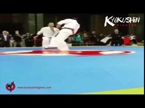 Spectacular kicks of Artur Arushanyan KWF Armenia