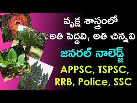 వృక్షశాస్త్రం | List of Smallest and Biggest Trees, Plants | Botany Questions and Answers