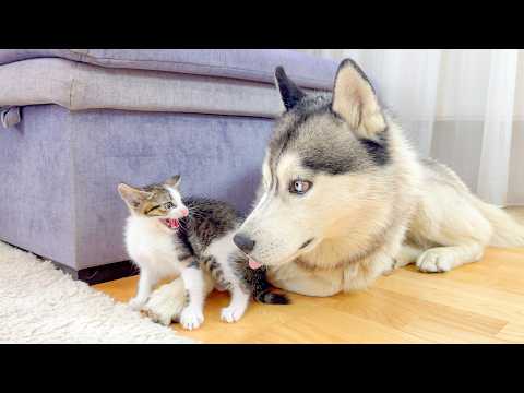 YouTube 썸네일