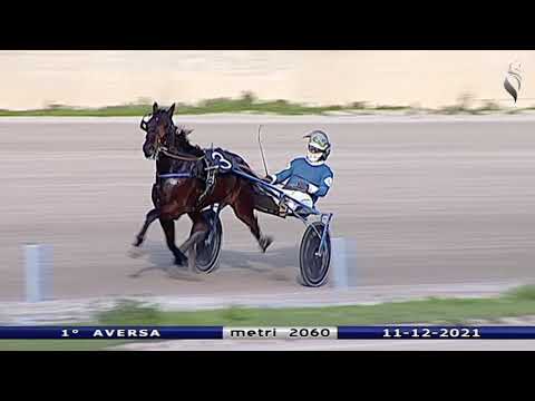Aversa trotto 11 Dicembre 2021 - 1° Corsa