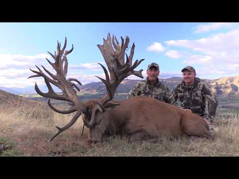 Giant red stag hunting in New Zealand with Exclusive Adventures  - Record Book stag