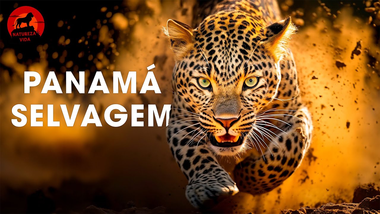 PANAMÁ SELVAGEM | O Paraíso Tropical e as Criaturas que Reinam Sobre Ele | Documentários animais