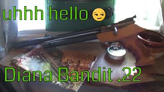 Download lagu Diana Bandit .22 PCP Air Pistol mp3