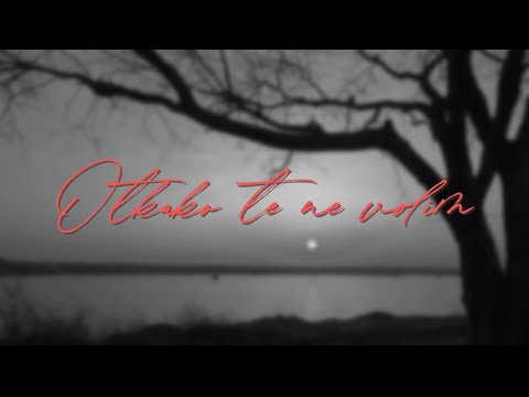 Arsen Dedić - Otkako te ne volim (Official lyric video)