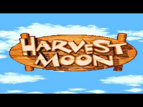 Star Night Festival (1HR Looped) - Harvest Moon Music