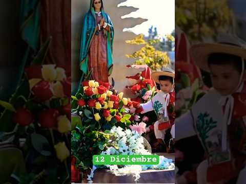 Virgen de Guadalupe #biblia #virgenmaria #maria #virgendeguadalupe