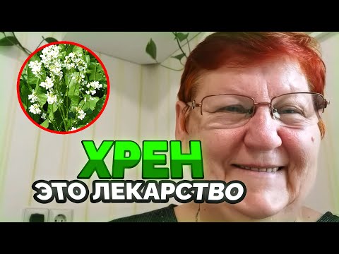 ХРЕН ЦВЕТЁТ! Делаем НАСТОЙКУ/ 118