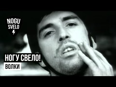 Video thumbnail for Волки (wolves)