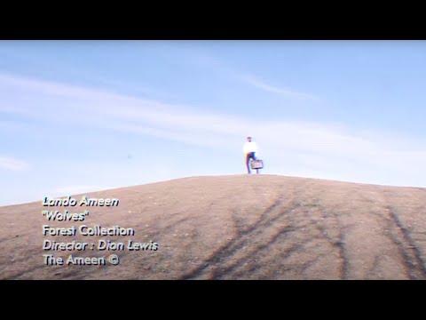 Video thumbnail JVwSqzv28pE