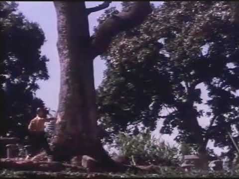 Shaolin vs Lama  " Budda Finger"