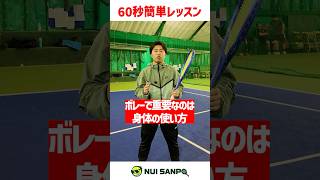 【忙しい人向けテニスレッスン】ボレーは身体の使い方が超重要です〈ぬいさんぽテニス（Tennis）〉 #テニス #テニスレッスン #tennis #ぬいさんぽ