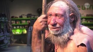 Schulpraktische Studien // Neanderthal Museum, Mettmann