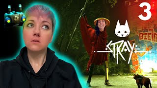 Secret Agent Cat | Stray 3