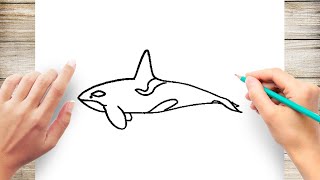 How to Draw a Killer Whale Step by Step for Kindergarten