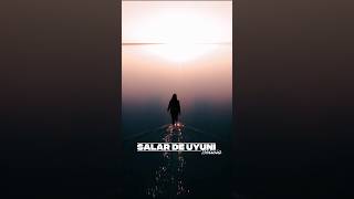 WORLD&#39;S LARGEST MIRROR? Salar de Uyuni Bolivia | Unreal Salt Flat Reflections #shorts