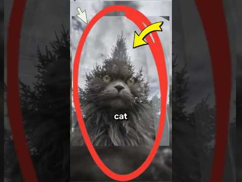 Unglaubliche, seltene Fotos, die Sie in eine andere Dimension entführen werden | 676