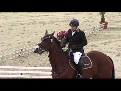 Finále Amateur Tour (základní část) - Kompletní videozáznamy finále ČSP 2015 v Olomouci