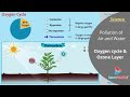 Oxygen Cycle and Ozone Layer