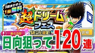 【キャプテン翼】超ドリフェス日向狙って１２０連目！【たたかえドリームチーム】
