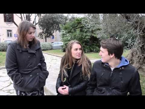 Obraz hinavščine - Gimnazija Koper, dobitnik zlatega priznanja