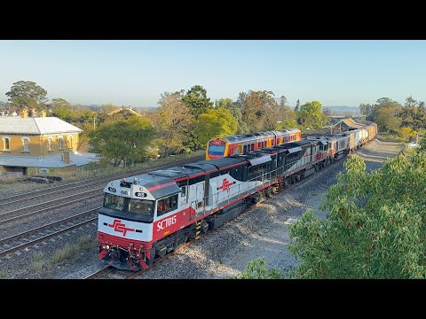 SCT’s SCT015, SCT013 & CSR004 with 2BM9 at East Maitland - 2/9/25