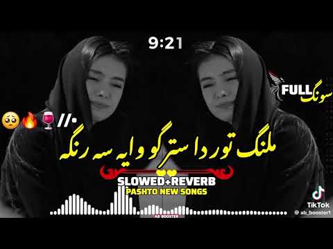 Malanga Tor da stargoo waya saranga spinegi ( pashto new viral song 🎧🎶
