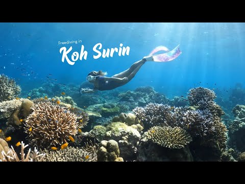 Surin islands | Best freediving spot in Thailand and home of Moken village