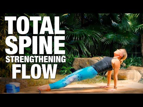 Total Spine Strengthening Flow Yoga Class - Five Parks Yoga