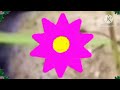 Go Eco Babytv Coot
