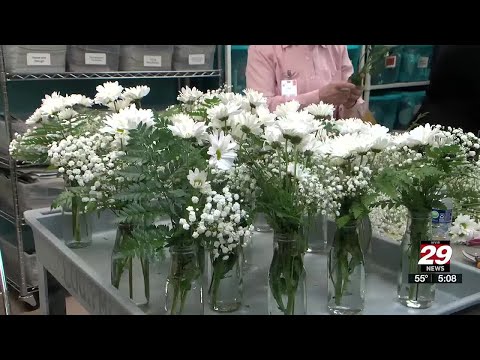 UVA Health volunteers brighten patients' and staff’s day