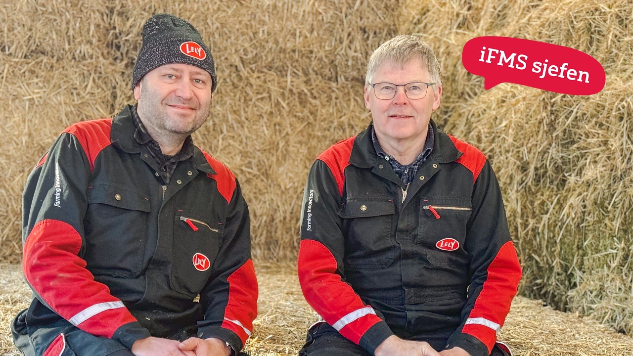 Lansering iFMS team-leder